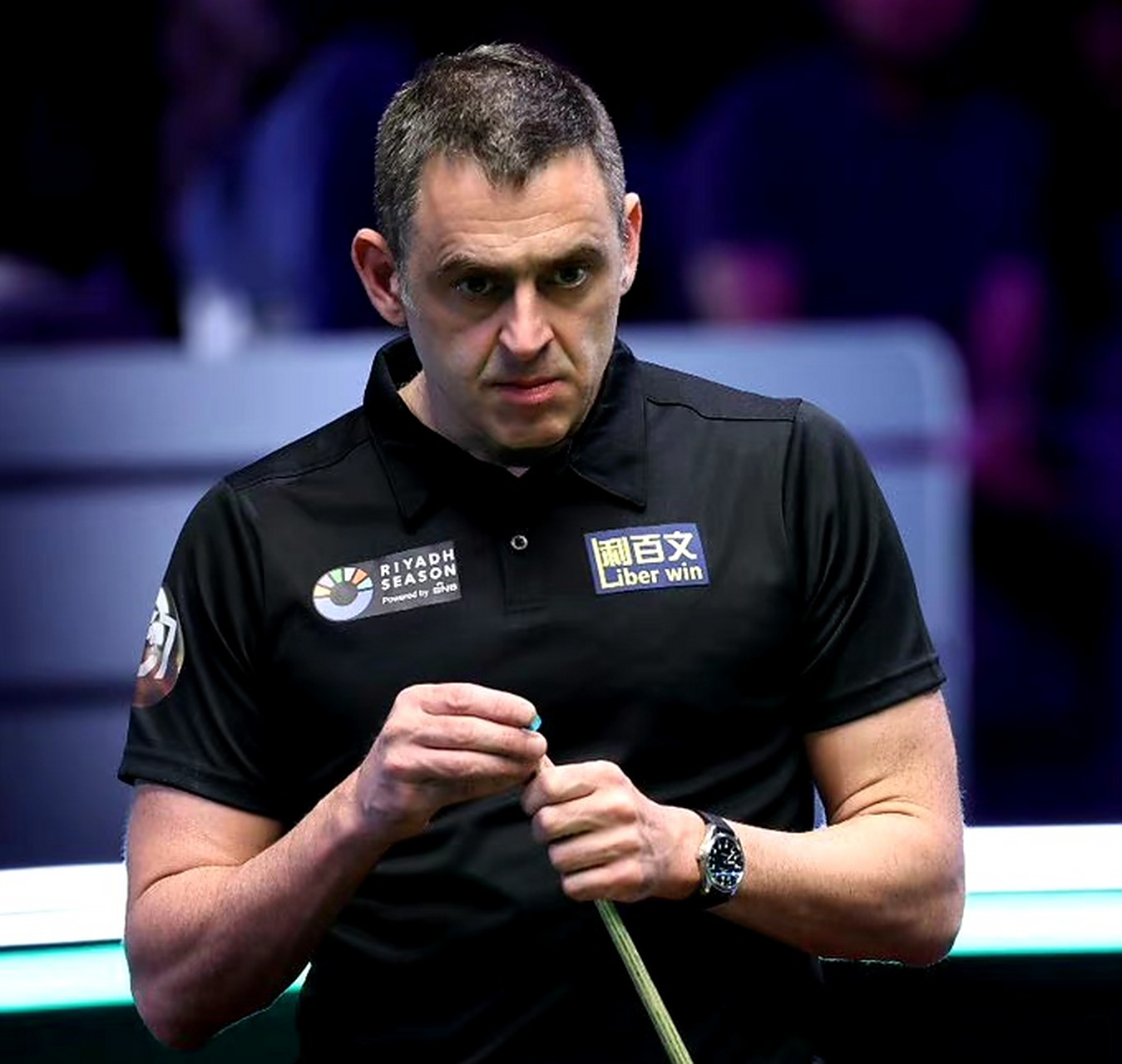 未来将更加 未来将更加